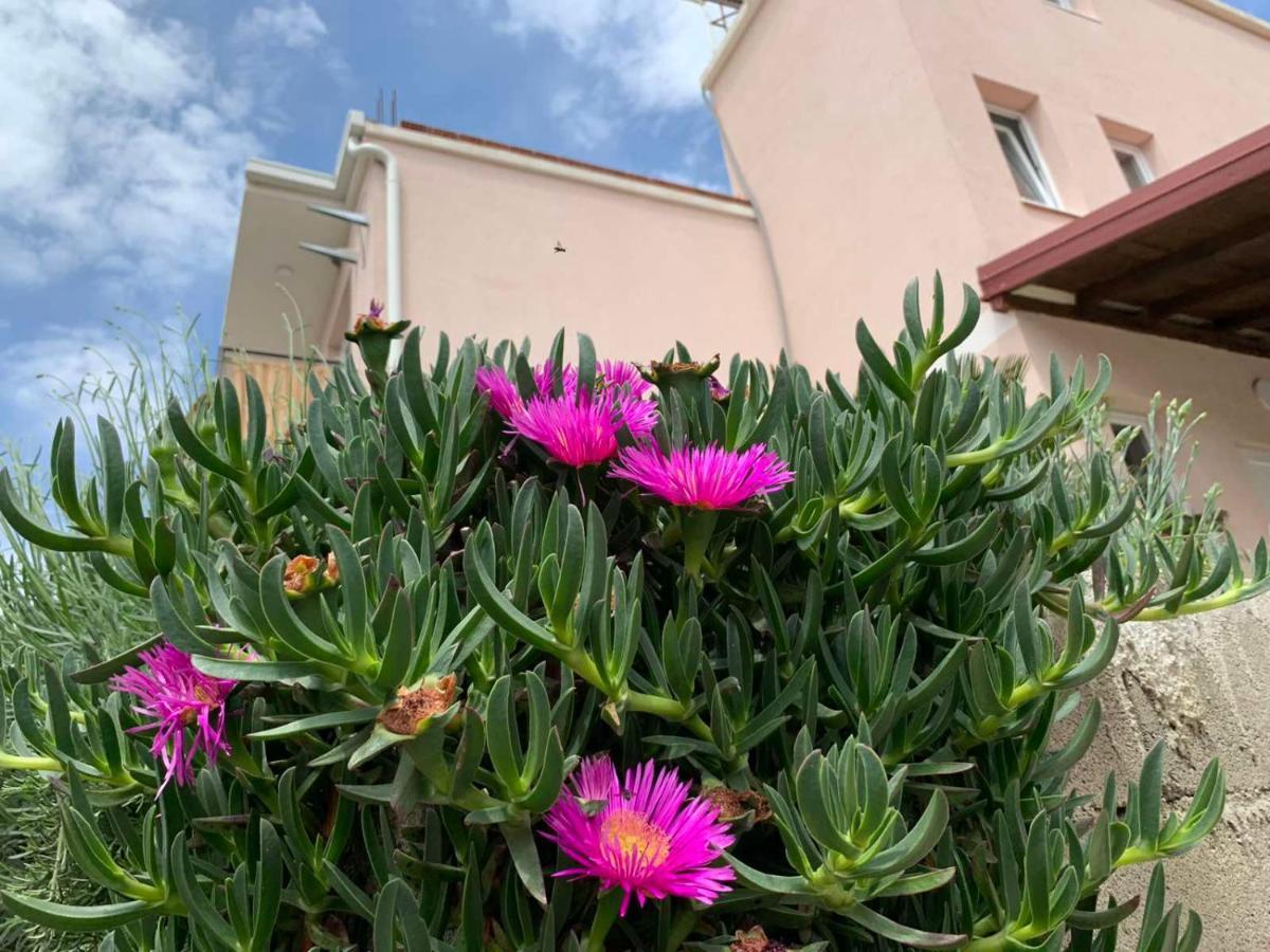 Vila Bella Jaz 布德瓦 外观 照片